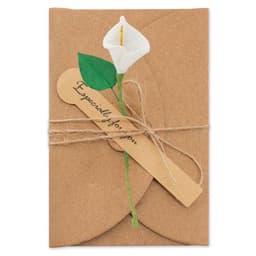 TARJETAS VINTAGE FLORES SECAS (PACK DE 10)