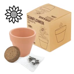 MACETA TERRACOTA GIRASOL "FLORAL"