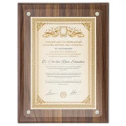 MARCO DE MADERA DIPLOMA A4 "EXCELENCIA"