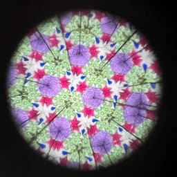 SET 4 CALEIDOSCOPIOS