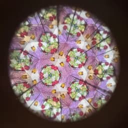 SET 4 CALEIDOSCOPIOS