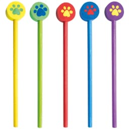 SET LAPICES FOOT PRINT 1 PACK