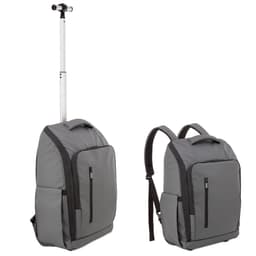 MOCHILA TROLLEY PIERRE DELONE "TRAVELLER"