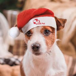 GORRO NAVIDEÑO PARA MASCOTAS "PIPO"