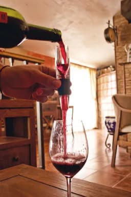 MINI DECANTADOR MAGICO