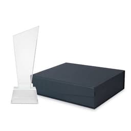 TROFEO DE CRISTAL "LYNX"