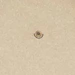 Bloc Notas Semillas Baupres