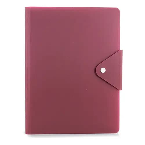 CARPETA CONGRESISTA "BROC"