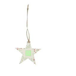 Adorno Semillas Boster